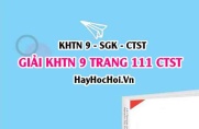 Giải KHTN 9 trang 111 Chân trời sáng tạo SGK